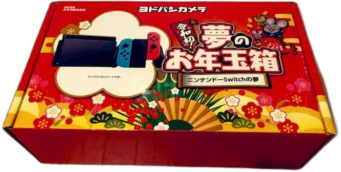 Yodobashi Camera JAPAN 2020 Console