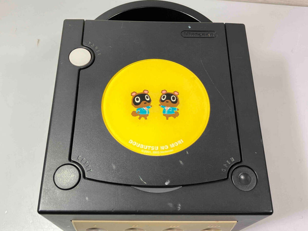 GameCube